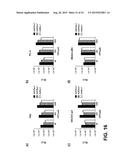 RECOMBINANT SEROTYPE 5 (Ad5) ADENOVIRAL VECTORS diagram and image