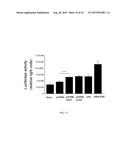 RECOMBINANT SEROTYPE 5 (Ad5) ADENOVIRAL VECTORS diagram and image