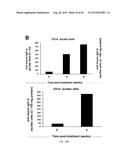 RECOMBINANT SEROTYPE 5 (Ad5) ADENOVIRAL VECTORS diagram and image