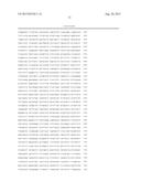 RECOMBINANT SEROTYPE 5 (Ad5) ADENOVIRAL VECTORS diagram and image