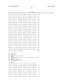 RECOMBINANT SEROTYPE 5 (Ad5) ADENOVIRAL VECTORS diagram and image