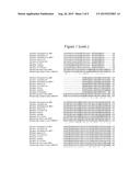 Thermostable Type-A DNA Polymerase Mutant with Increased Resistance to     Inhibitors in Blood diagram and image