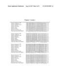 Thermostable Type-A DNA Polymerase Mutant with Increased Resistance to     Inhibitors in Blood diagram and image