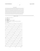 METHOD FOR THE MANUFACTURING OF RECOMBINANT PROTEINS HARBOURING AN     N-TERMINAL LYSINE diagram and image