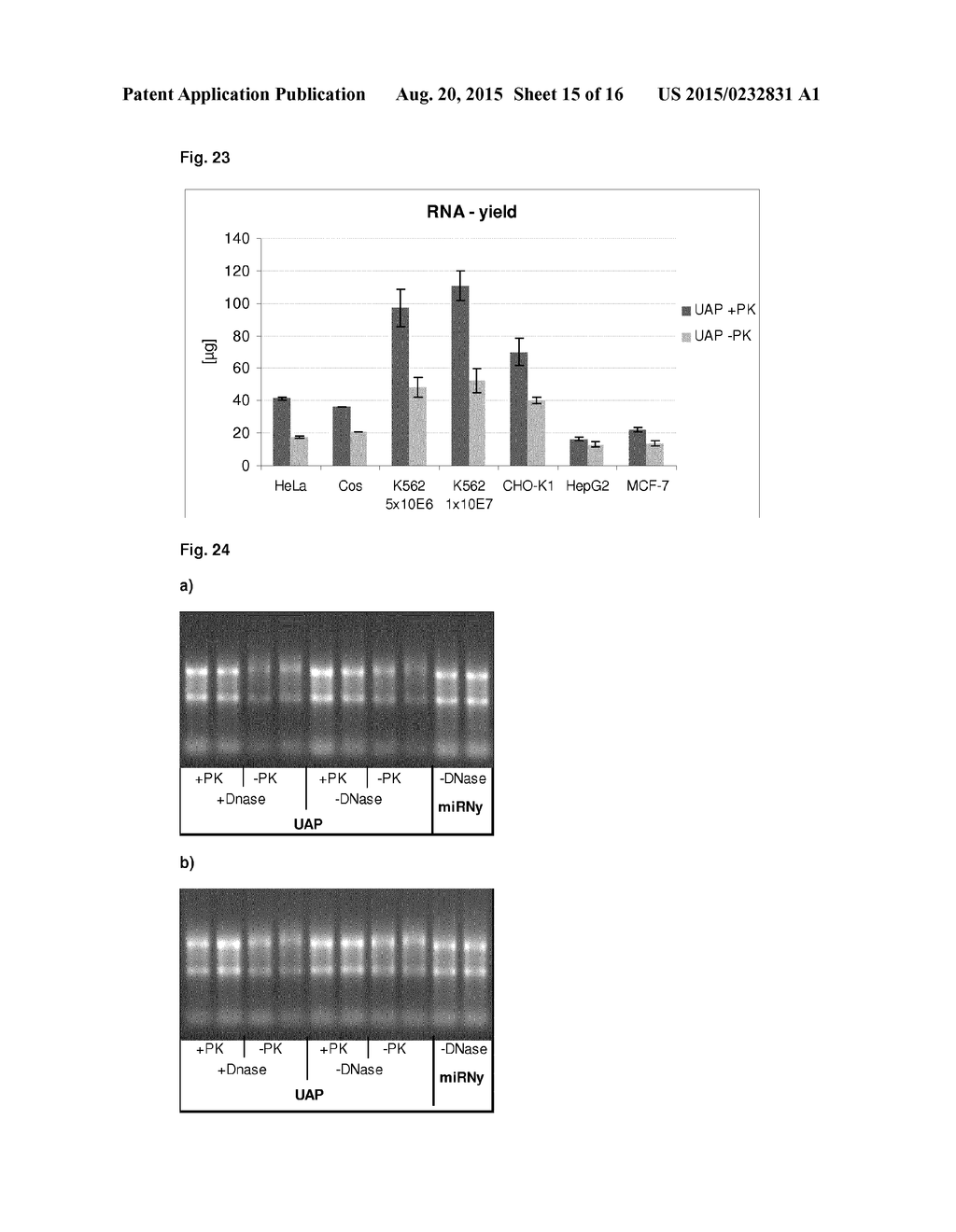 METHOD FOR ISOLATING RNA INCLUDING SMALL RNA WITH HIGH YIELD - diagram, schematic, and image 16