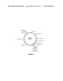 VECTORS AND METHODS FOR IMPROVED PLANT TRANSFORMATION EFFICIENCY diagram and image