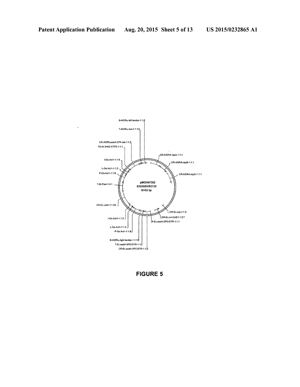 VECTORS AND METHODS FOR IMPROVED PLANT TRANSFORMATION EFFICIENCY - diagram, schematic, and image 06