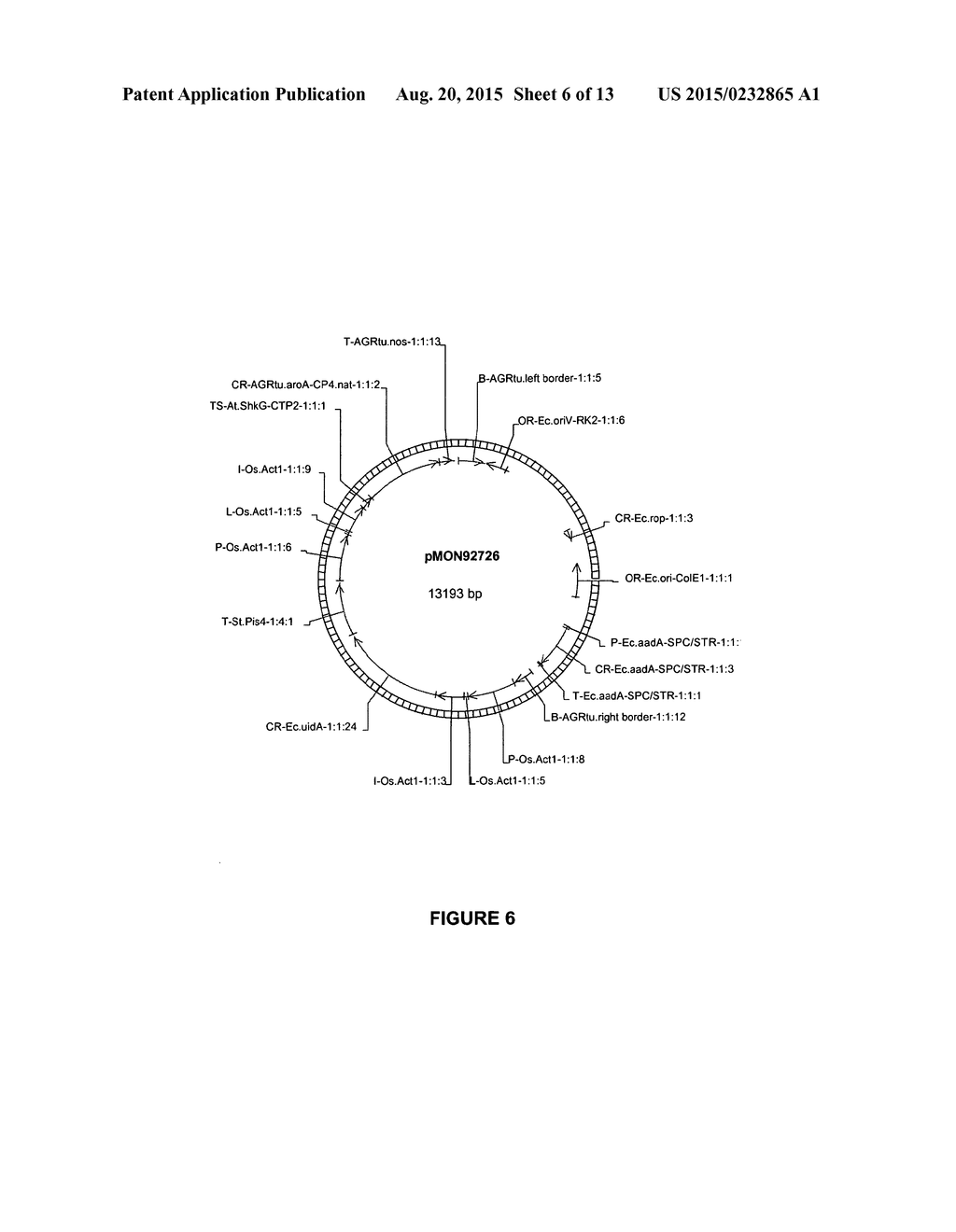 VECTORS AND METHODS FOR IMPROVED PLANT TRANSFORMATION EFFICIENCY - diagram, schematic, and image 07