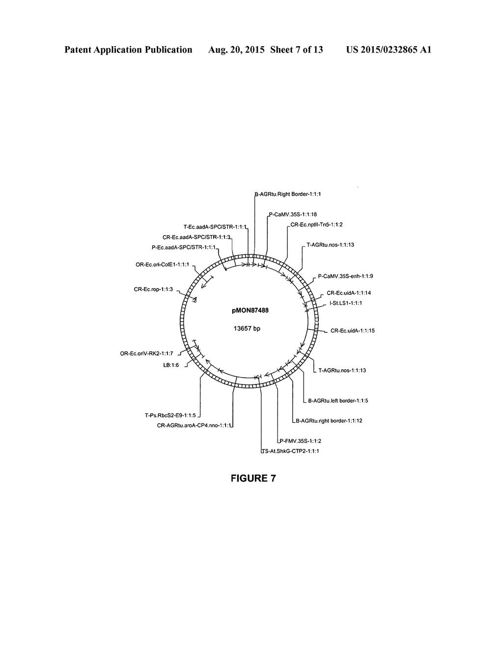 VECTORS AND METHODS FOR IMPROVED PLANT TRANSFORMATION EFFICIENCY - diagram, schematic, and image 08