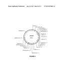 VECTORS AND METHODS FOR IMPROVED PLANT TRANSFORMATION EFFICIENCY diagram and image