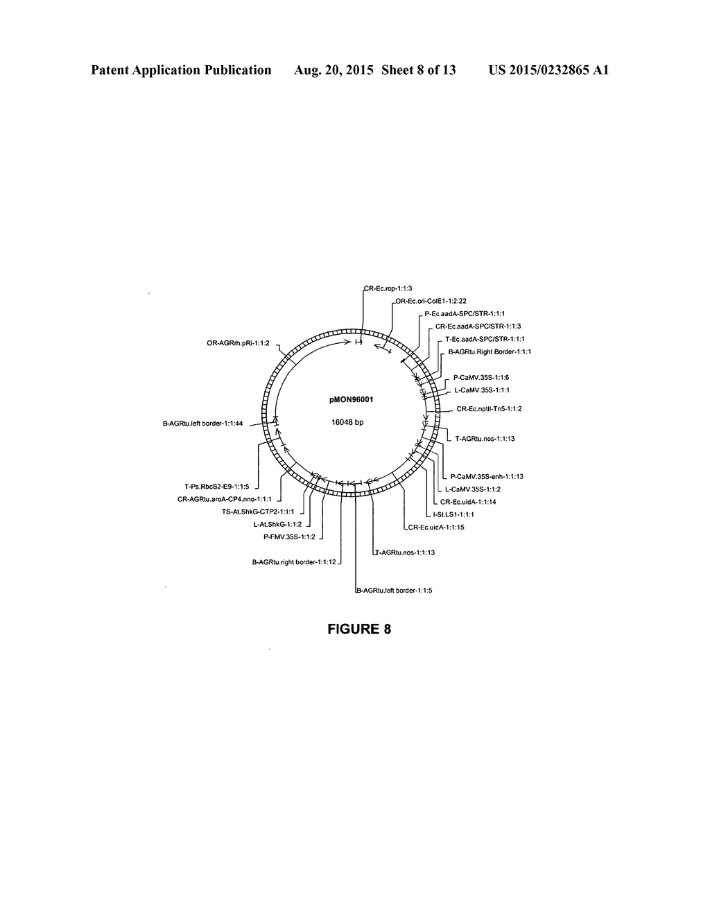 VECTORS AND METHODS FOR IMPROVED PLANT TRANSFORMATION EFFICIENCY - diagram, schematic, and image 09