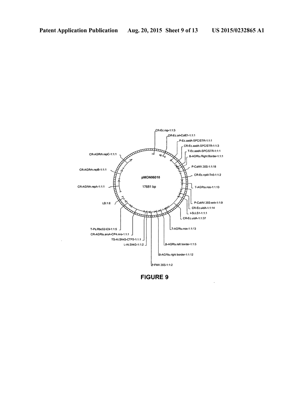 VECTORS AND METHODS FOR IMPROVED PLANT TRANSFORMATION EFFICIENCY - diagram, schematic, and image 10