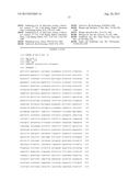 VECTORS AND METHODS FOR IMPROVED PLANT TRANSFORMATION EFFICIENCY diagram and image