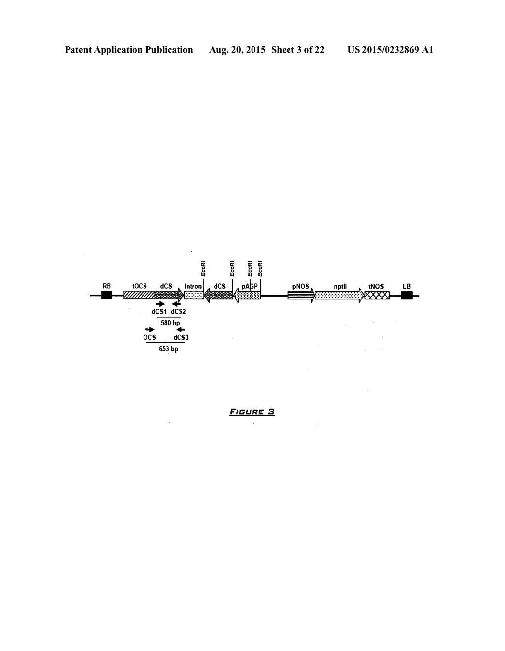 COTTON PLANT WITH SEED-SPECIFIC REDUCTION IN GOSSYPOL - diagram, schematic, and image 04