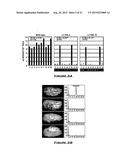 COTTON PLANT WITH SEED-SPECIFIC REDUCTION IN GOSSYPOL diagram and image