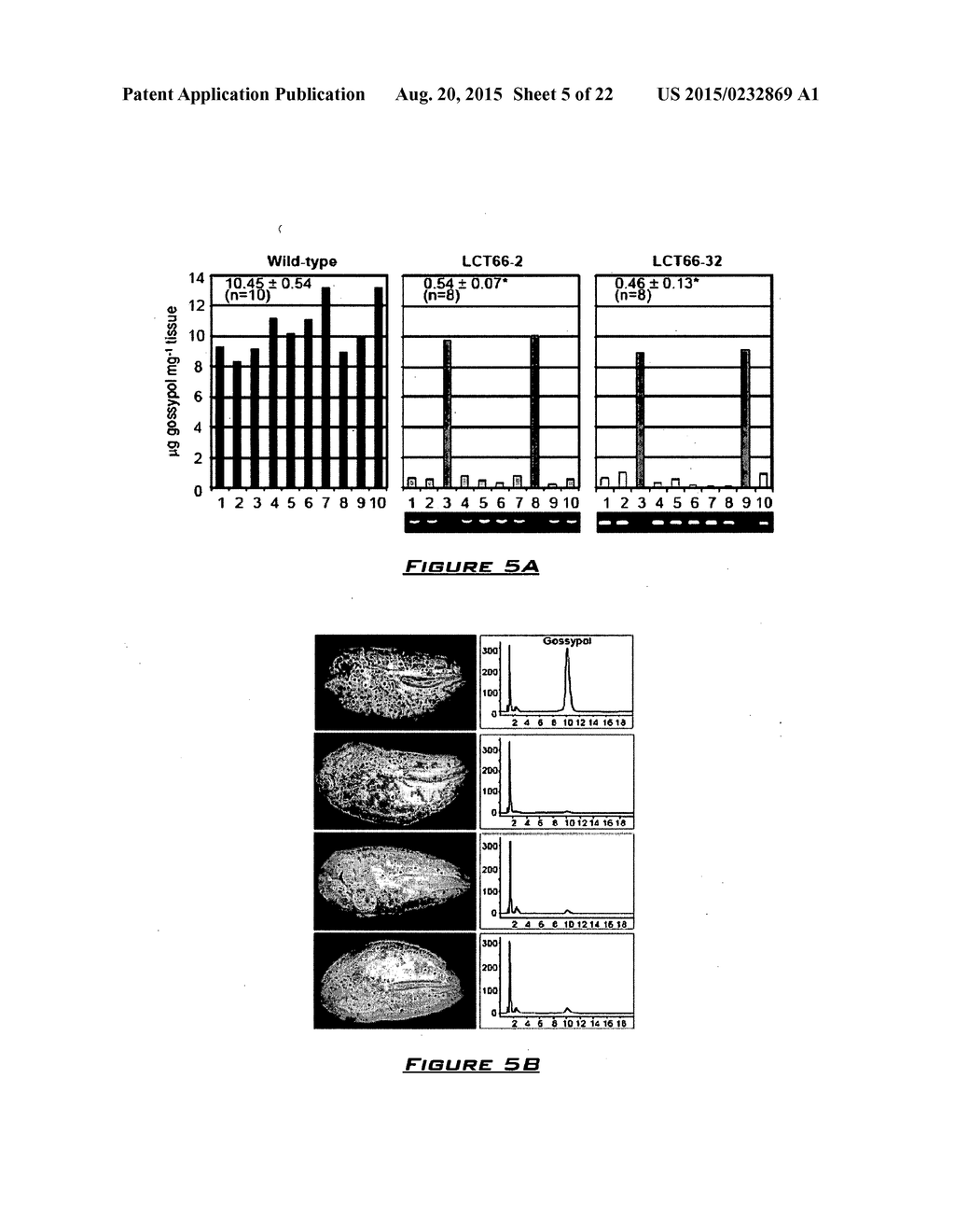 COTTON PLANT WITH SEED-SPECIFIC REDUCTION IN GOSSYPOL - diagram, schematic, and image 06