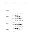 CRISPR-RELATED METHODS AND COMPOSITIONS WITH GOVERNING gRNAS diagram and image