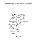 LIGHT EMITTING DIODE REPLACEMENT LAMP diagram and image