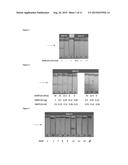 METHOD FOR SPECIFICALLY DETECTING A MATRIX METALLOPROTEINASE (MMP) WHICH     IS ONLY OF INTEREST IN THE ACTIVE FORM THEREOF, IN A SAMPLE diagram and image