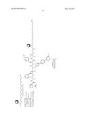 METHOD FOR SPECIFICALLY DETECTING A MATRIX METALLOPROTEINASE (MMP) WHICH     IS ONLY OF INTEREST IN THE ACTIVE FORM THEREOF, IN A SAMPLE diagram and image