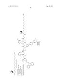 METHOD FOR SPECIFICALLY DETECTING A MATRIX METALLOPROTEINASE (MMP) WHICH     IS ONLY OF INTEREST IN THE ACTIVE FORM THEREOF, IN A SAMPLE diagram and image