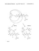 METHOD OF DETECTION OF AMINO ACID SEQUENCE AND/OR IDENTIFICATION OF     PEPTIDES AND PROTEINS, BY USE OF A NEW DERIVATIZATION REAGENT AND     SYNTHESIS OF 5-FORMYL-BENZENE-1,3-DISULPHONIC ACID AS DERIVATIZATION     REAGENT diagram and image