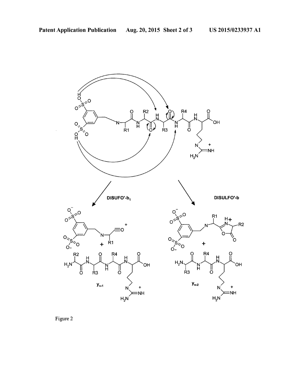 METHOD OF DETECTION OF AMINO ACID SEQUENCE AND/OR IDENTIFICATION OF     PEPTIDES AND PROTEINS, BY USE OF A NEW DERIVATIZATION REAGENT AND     SYNTHESIS OF 5-FORMYL-BENZENE-1,3-DISULPHONIC ACID AS DERIVATIZATION     REAGENT - diagram, schematic, and image 03