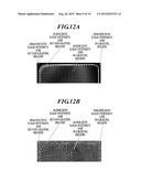 X-RAY IMAGING SYSTEM AND IMAGE PROCESSING METHOD diagram and image