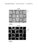 METHOD FOR PRODUCING A FILM COMPRISING THREE-DIMENSIONAL MAGNETIC     MICROSTRUCTURES diagram and image