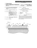 SYSTEM AND METHOD FOR PERFORMING HOT WATER SEAL ON ELECTROSTATIC CHUCK diagram and image