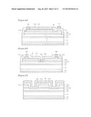 LIGHT EMITTING DIODE CHIP HAVING ELECTRODE PAD diagram and image