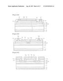 LIGHT EMITTING DIODE CHIP HAVING ELECTRODE PAD diagram and image