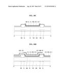 Large Area Organic Light Emitting Diode Display and Method for     Manufacturing the Same diagram and image