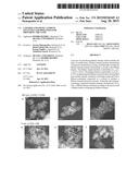 LAYERED AND SPINEL LITHIUM TITANATES AND PROCESSES FOR PREPARING THE SAME diagram and image