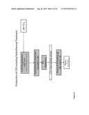 LAYERED AND SPINEL LITHIUM TITANATES AND PROCESSES FOR PREPARING THE SAME diagram and image