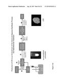 LAYERED AND SPINEL LITHIUM TITANATES AND PROCESSES FOR PREPARING THE SAME diagram and image