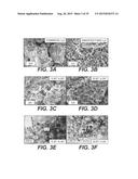 METAL SULFIDE COMPOSITE MATERIALS FOR BATTERIES diagram and image