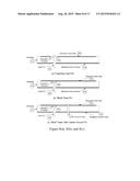 CAPACITIVELY COUPLED PATCH ANTENNA diagram and image