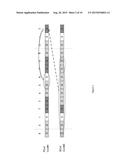 UPLINK DOWNLINK ASSIGNMENT INDICATOR AMBIGUITY HANDLING FOR INTER-BAND     TIME DIVISION DUPLEX CARRIER AGGREGATION diagram and image