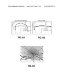 Determining and Aligning a Position of a Device and a Position of a     Wireless Access Point (AP) diagram and image