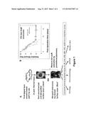 Non-Human Model for Wound Healing diagram and image