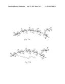 CHITOOLIGOSACCHARIDES AND METHODS FOR USE IN ENHANCING CORN GROWTH diagram and image