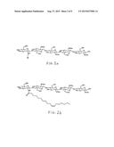 CHITOOLIGOSACCHARIDES AND METHODS FOR USE IN ENHANCING CORN GROWTH diagram and image