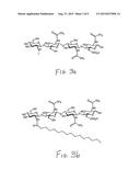 CHITOOLIGOSACCHARIDES AND METHODS FOR USE IN ENHANCING CORN GROWTH diagram and image