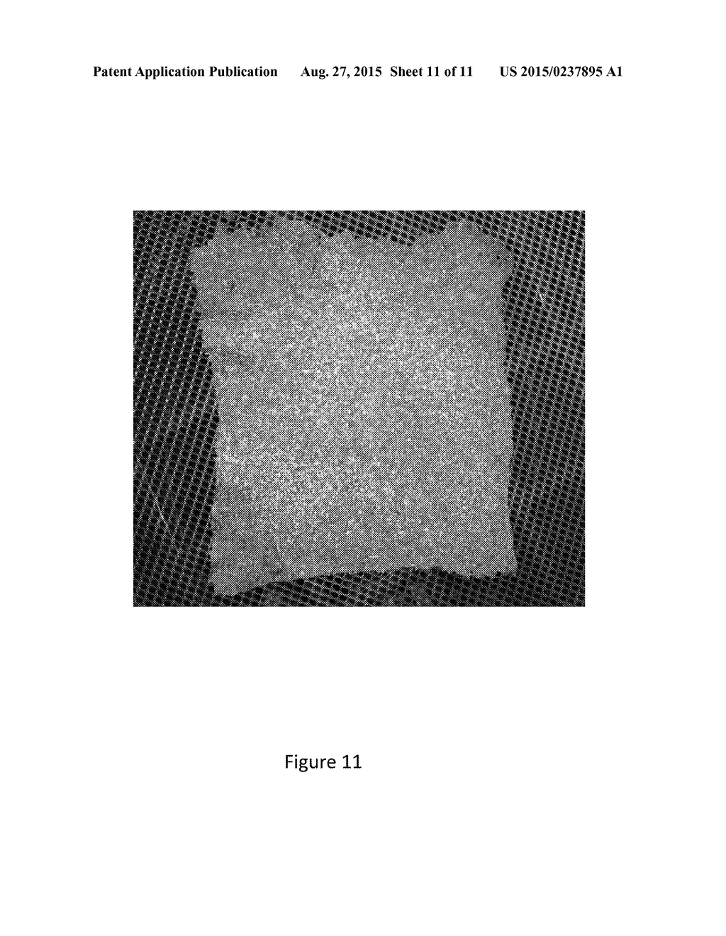 Method of Making an Edible Paper-Like Sheet - diagram, schematic, and image 12