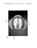 HELMET PADDING SYSTEM diagram and image