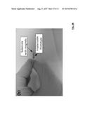 DETECTION OF THE SPATIAL LOCATION OF AN IMPLANTABLE BIOSENSING PLATFORM     AND METHOD THEREOF diagram and image