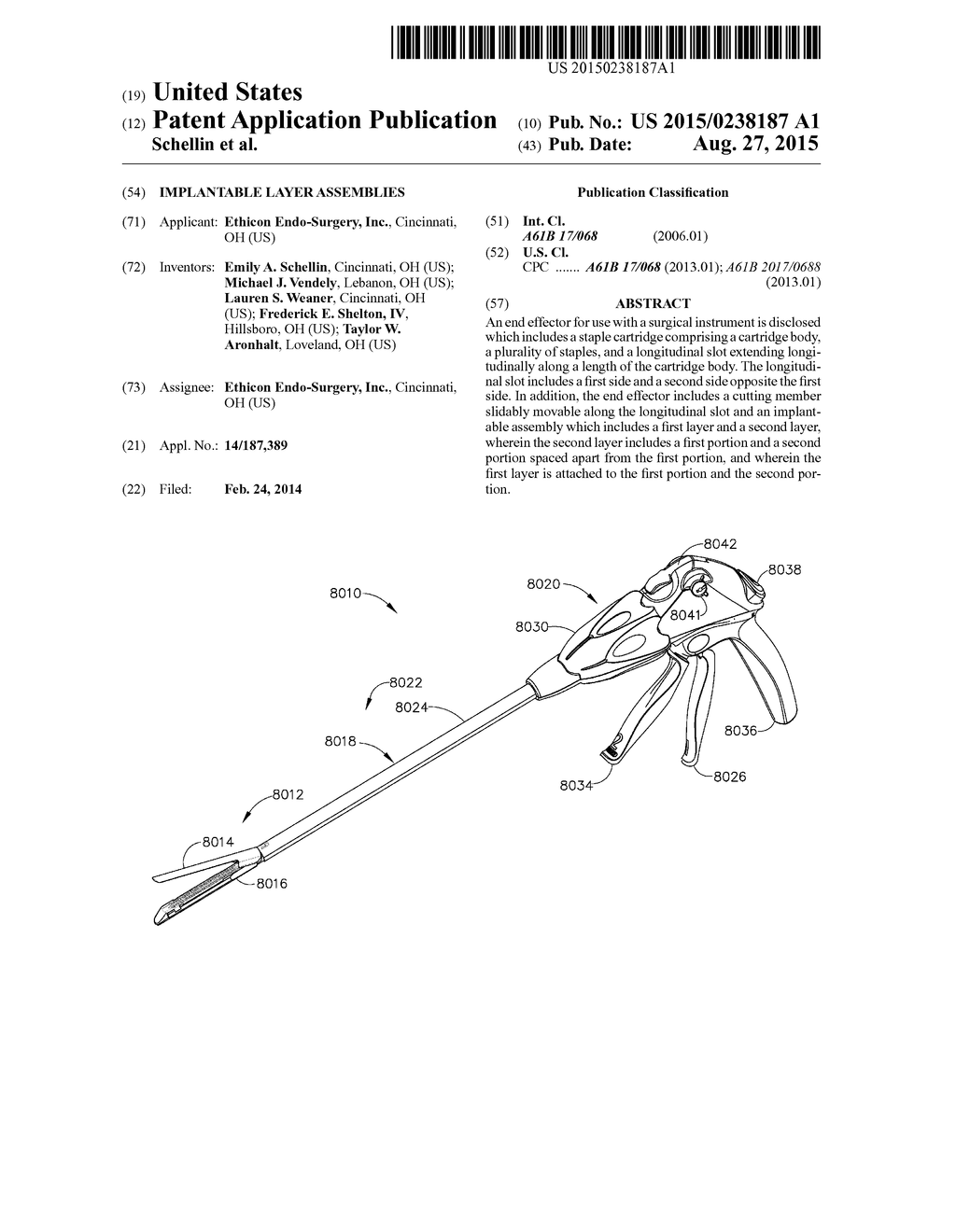 IMPLANTABLE LAYER ASSEMBLIES - diagram, schematic, and image 01