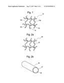 CONDUCTIVE AND DEGRADABLE IMPLANT FOR PELVIC TISSUE TREATMENT diagram and image