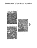 METHOD AND APPARATUS FOR DRY GRANULATION diagram and image